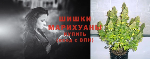 СК Аркадак