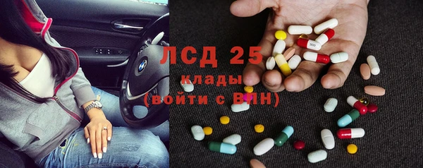 СК Аркадак