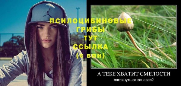 СК Аркадак