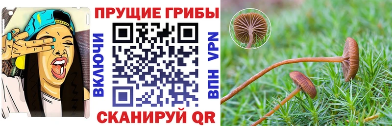 Галлюциногенные грибы MAGIC MUSHROOMS  Пролетарск 